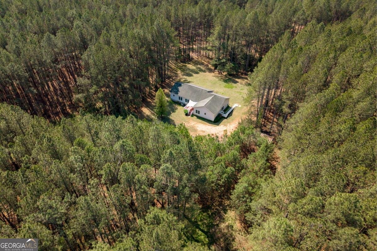 2970 Davids Home Church Road Comer - Photo 54