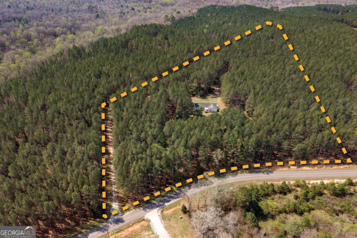 2970 Davids Home Church Road Comer - Photo 55