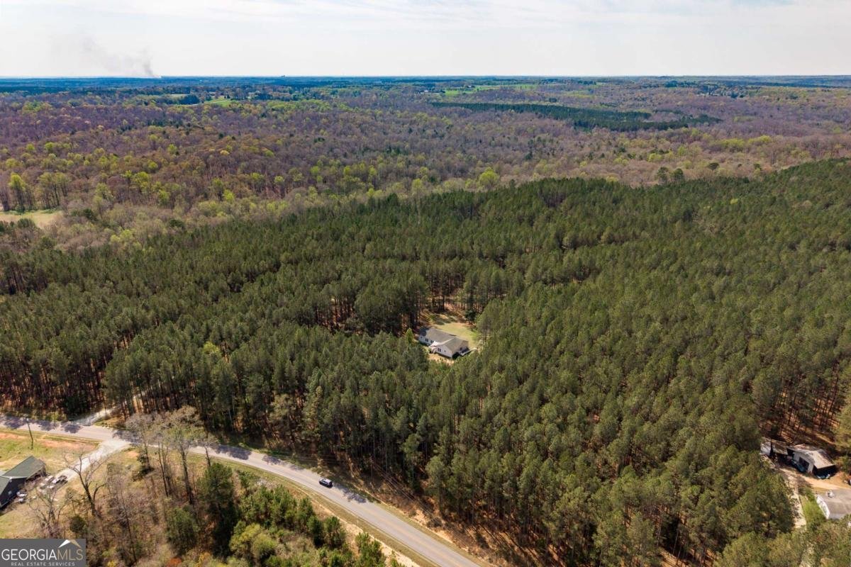 2970 Davids Home Church Road Comer - Photo 56