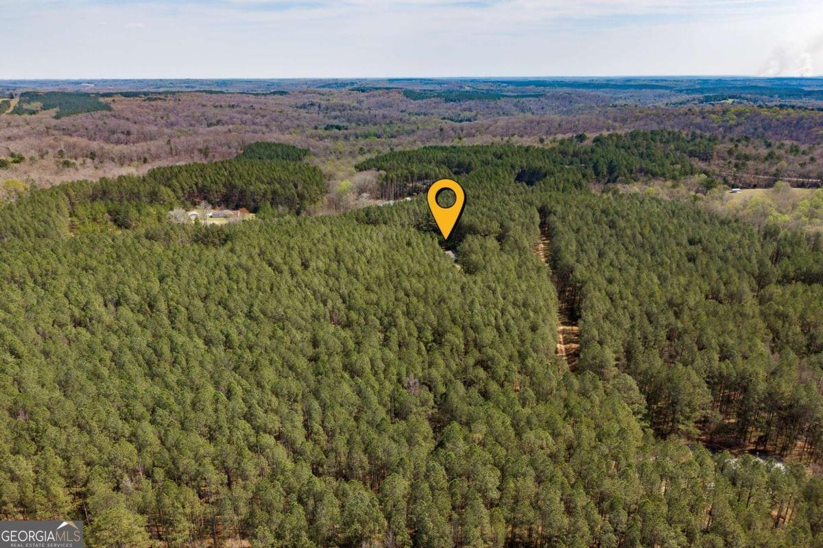 2970 Davids Home Church Road Comer - Photo 57