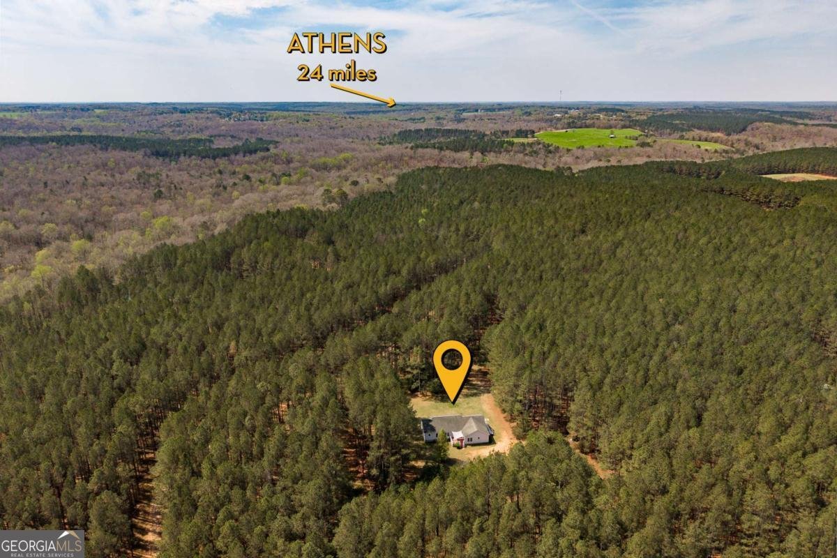 2970 Davids Home Church Road Comer - Photo 59