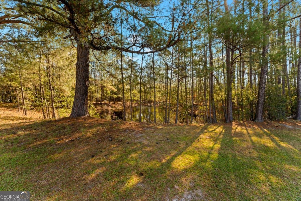 6829 Ga Highway 17 Bloomingdale - Photo 65