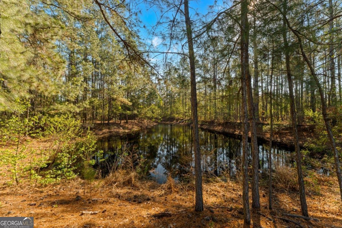 6829 Ga Highway 17 Bloomingdale - Photo 66