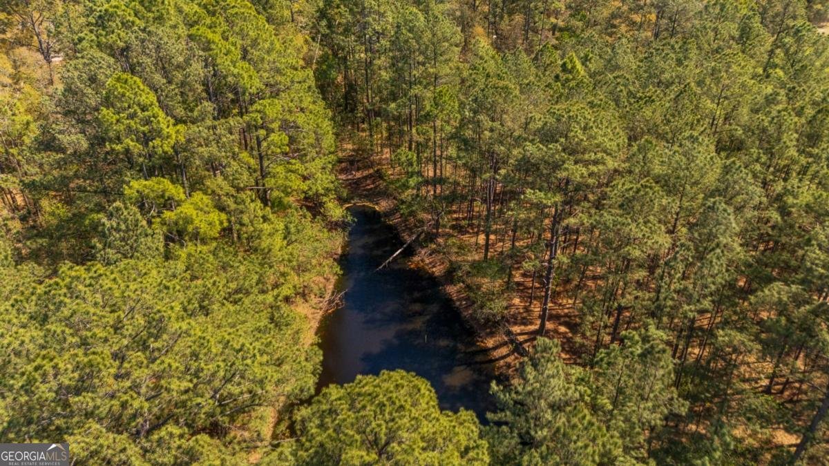 6829 Ga Highway 17 Bloomingdale - Photo 74