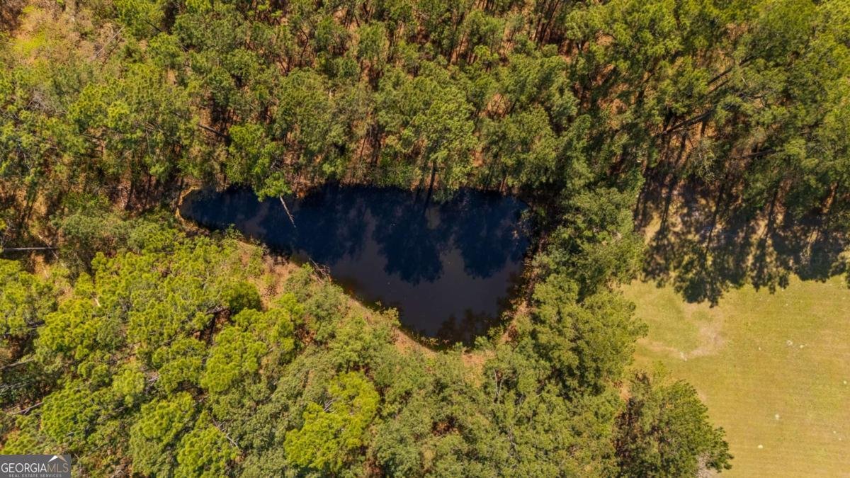 6829 Ga Highway 17 Bloomingdale - Photo 75