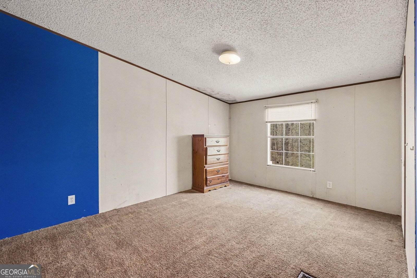 109 Mill Run Drive Comer - Photo 10