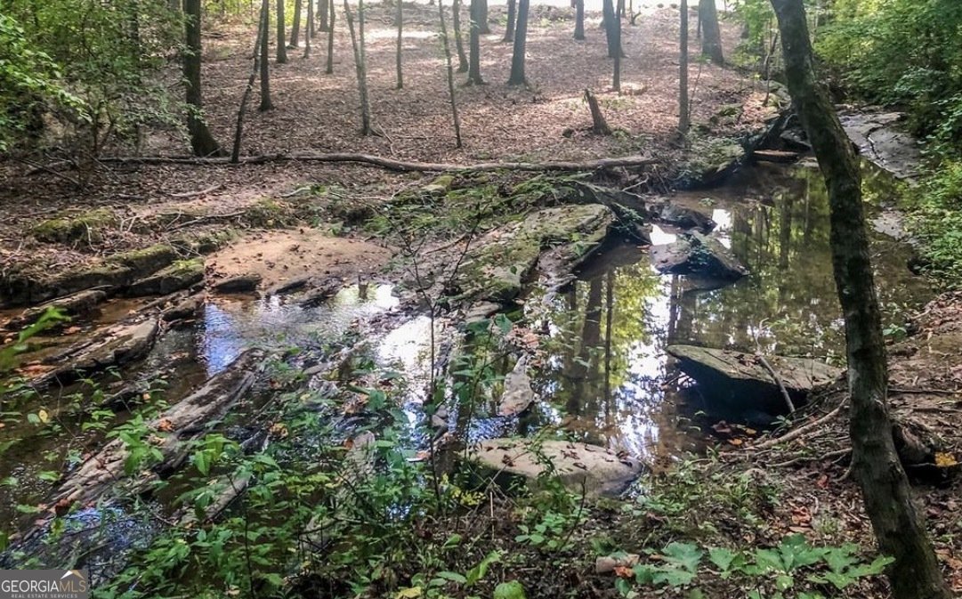 1838 Mapmaker Drive Dacula - Photo 42