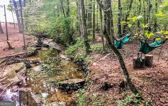 1838 Mapmaker Drive Dacula - Photo 43