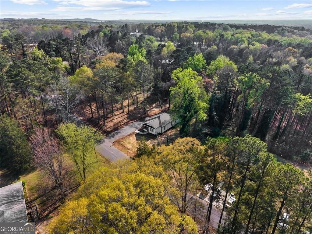 5580 Burrus Road Austell - Photo 53