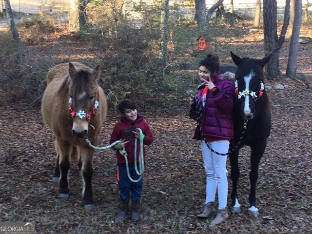 8345 Cleckler Road Palmetto - Photo 11