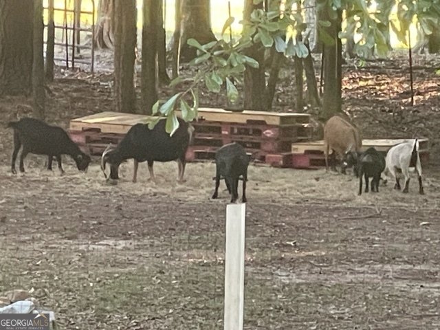 8345 Cleckler Road Palmetto - Photo 16