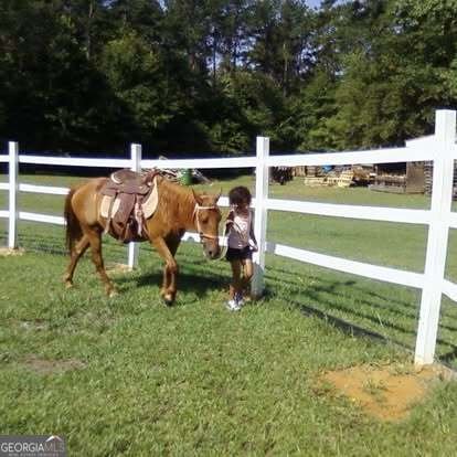 8345 Cleckler Road Palmetto - Photo 8