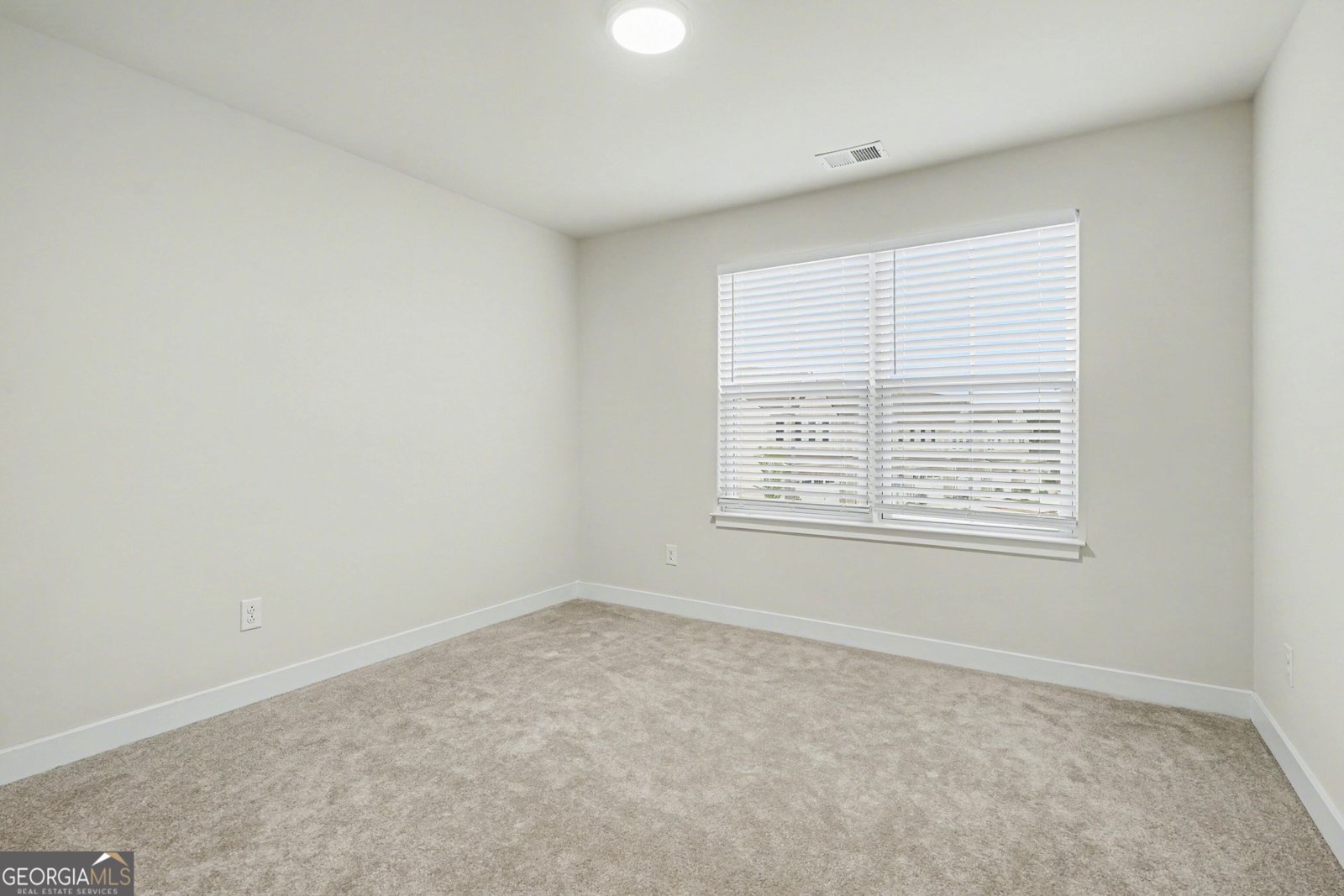 136 Salt Lake Lane Hoschton - Photo 16