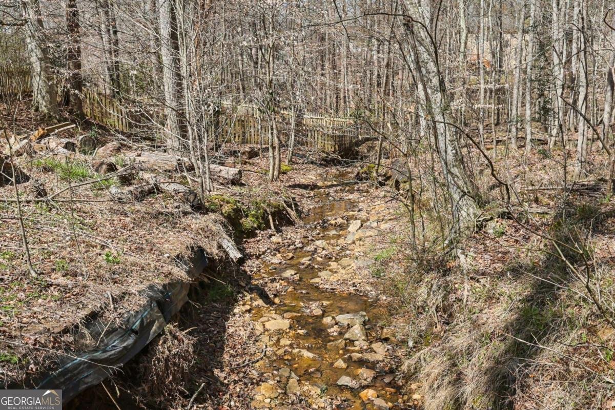 3635 Hickory Branch Trail Suwanee - Photo 64