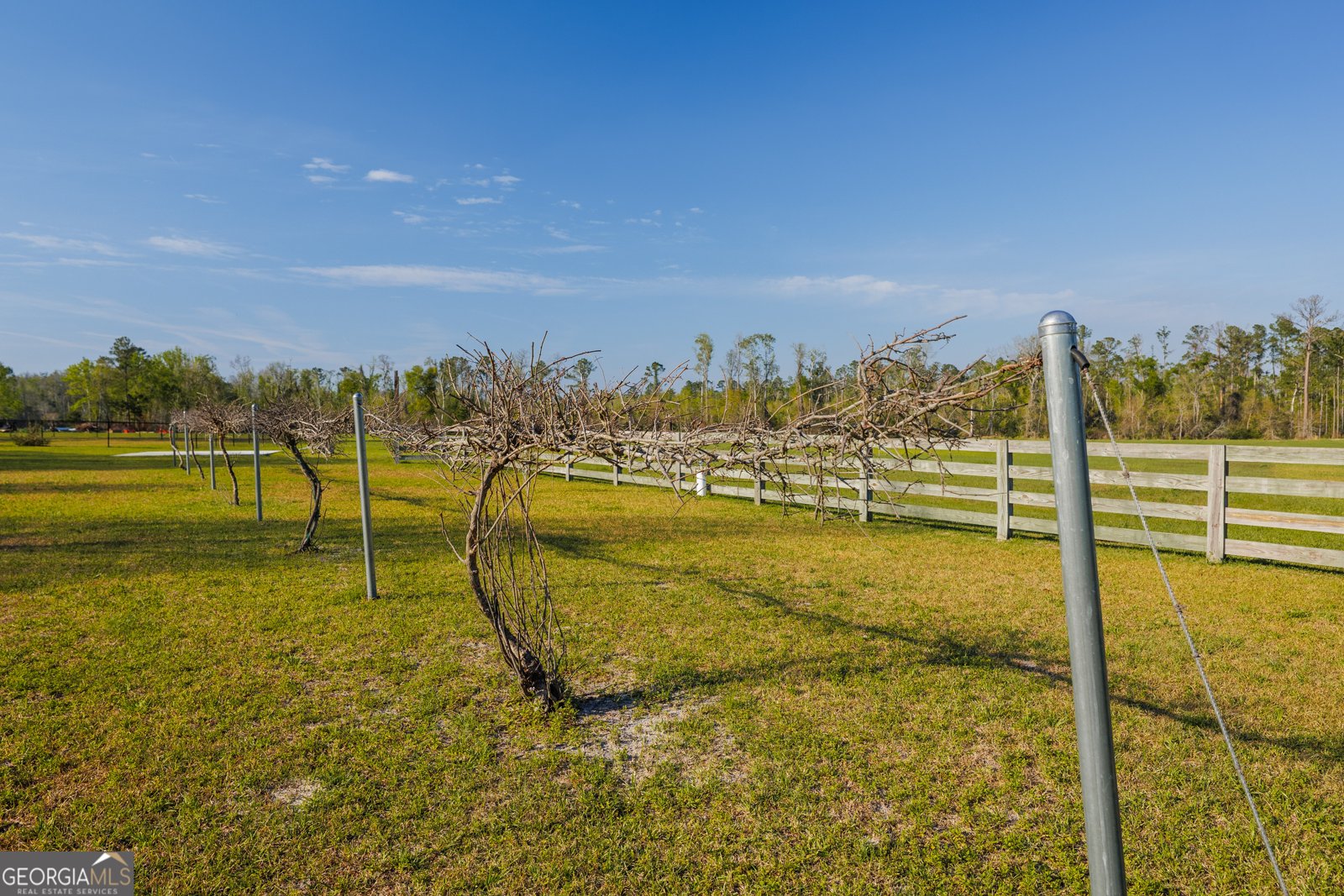3497 Brown Road Valdosta - Photo 49