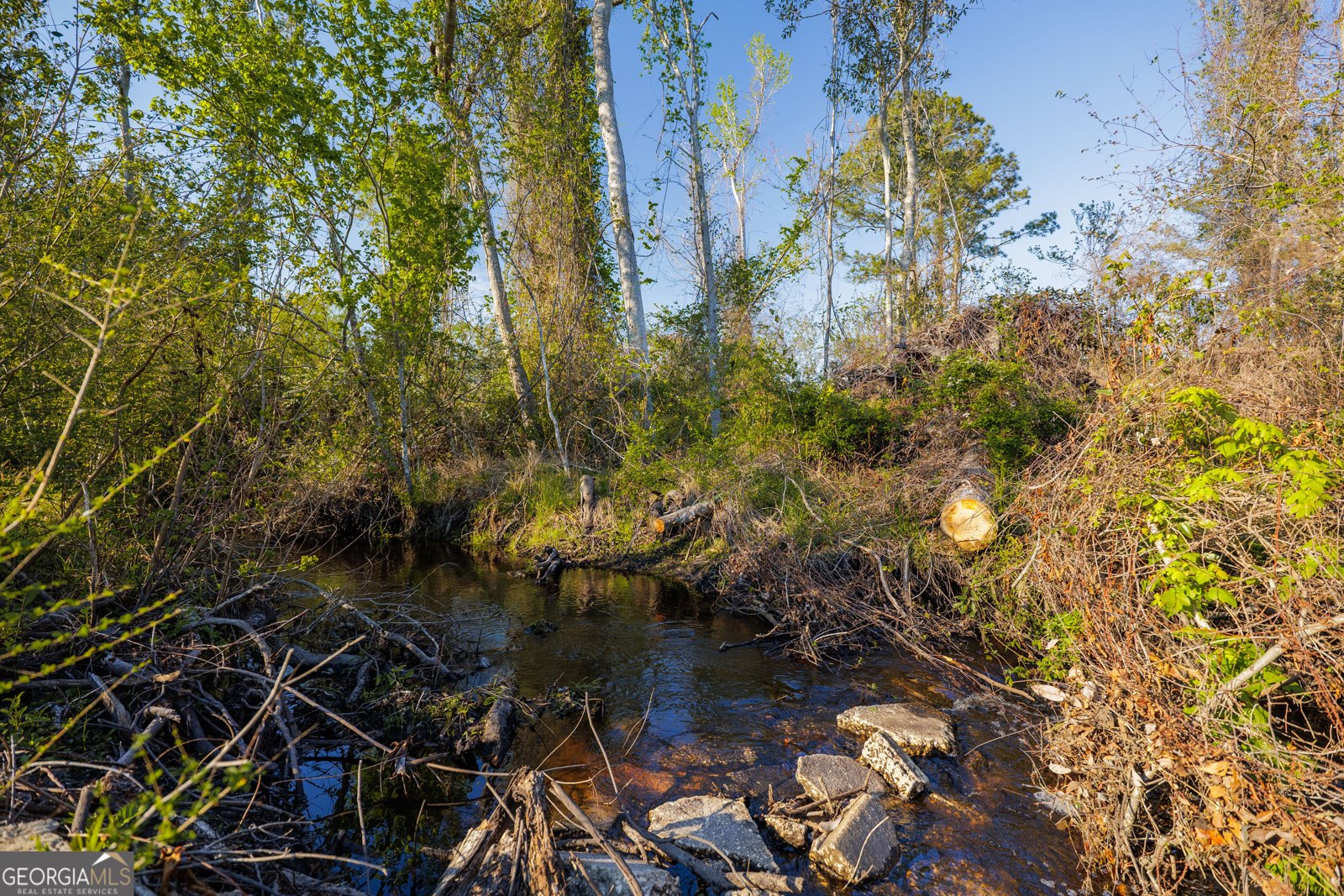 3497 Brown Road Valdosta - Photo 64