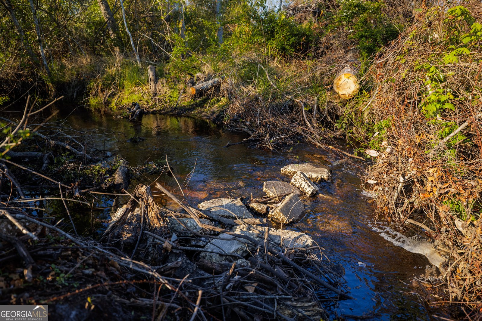 3497 Brown Road Valdosta - Photo 65