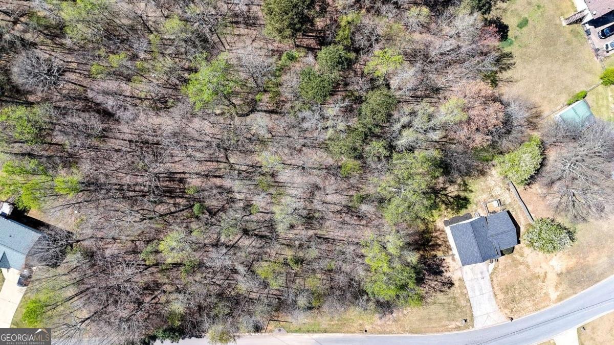 389 Rustin Drive Dallas - Photo 35