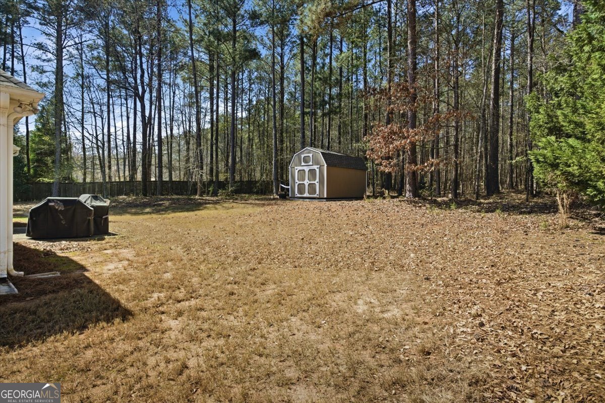 159 Aubree Way McDonough - Photo 42