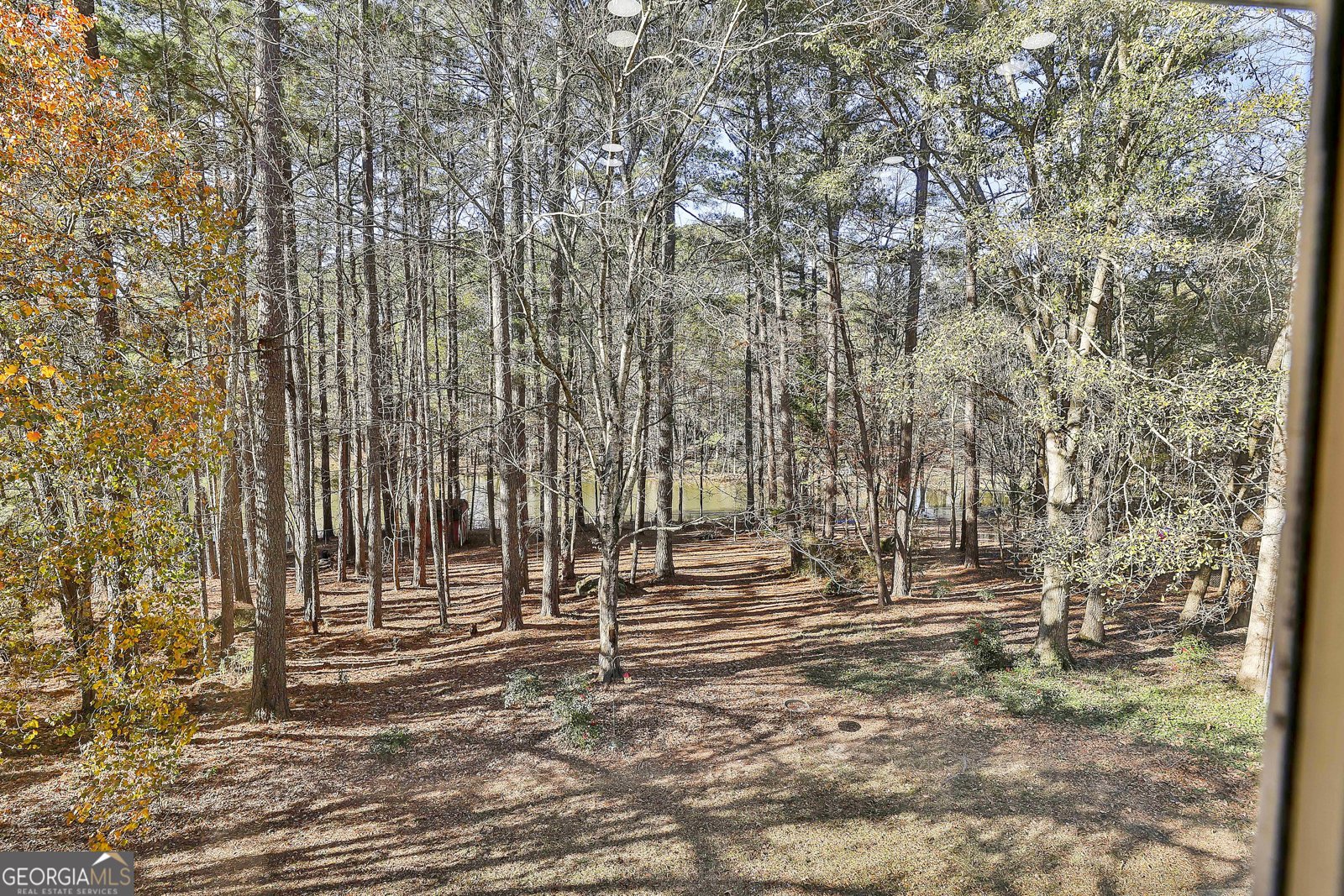 190 Willow Lake Lane Sharpsburg - Photo 37