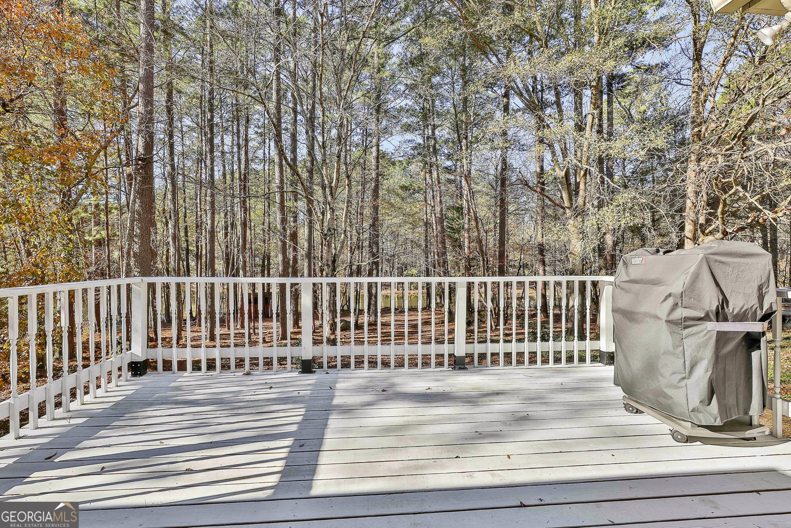 190 Willow Lake Lane Sharpsburg - Photo 42