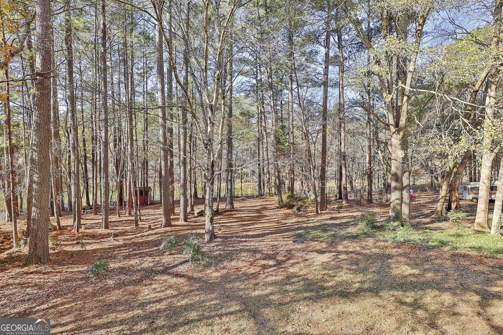 190 Willow Lake Lane Sharpsburg - Photo 45