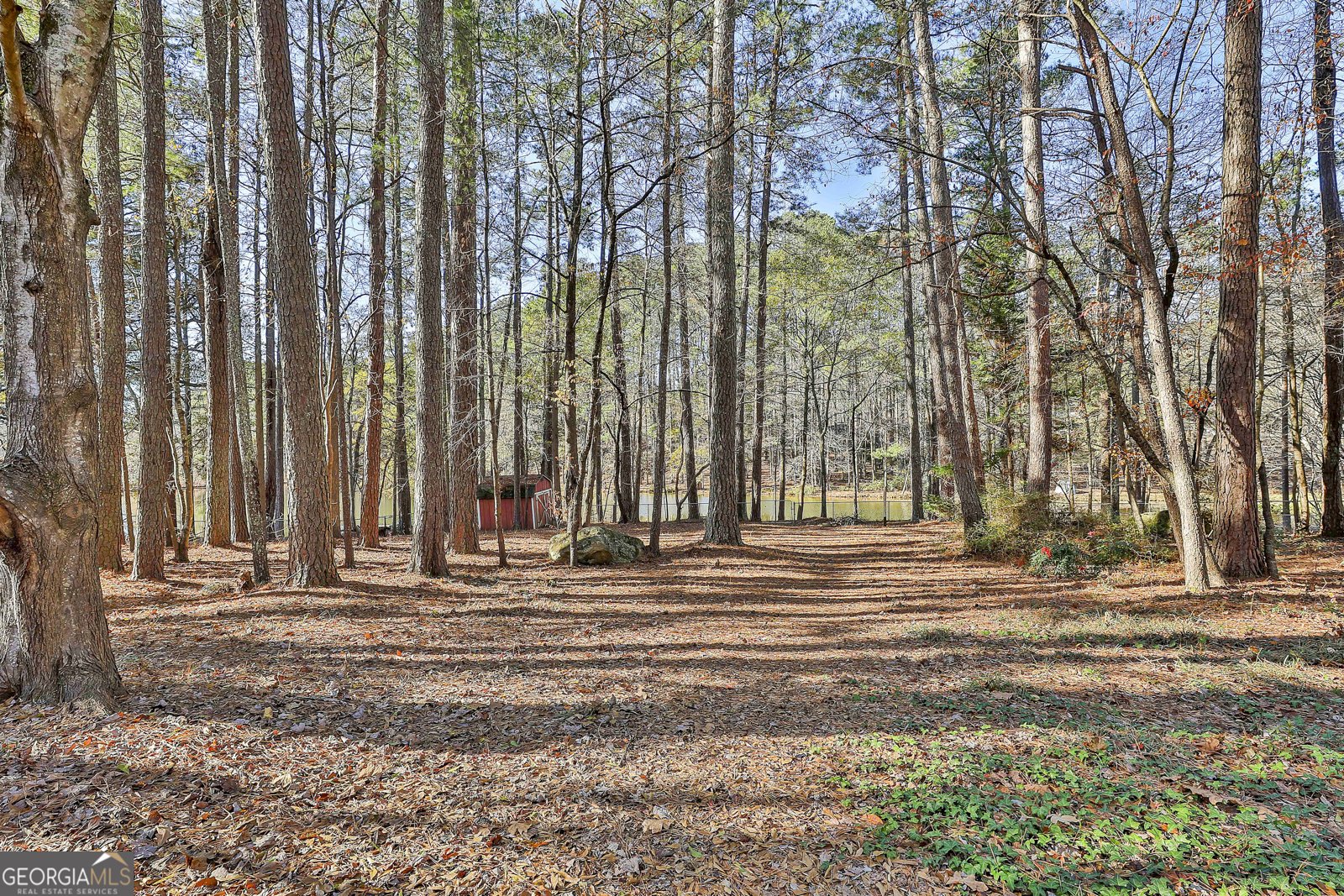 190 Willow Lake Lane Sharpsburg - Photo 49