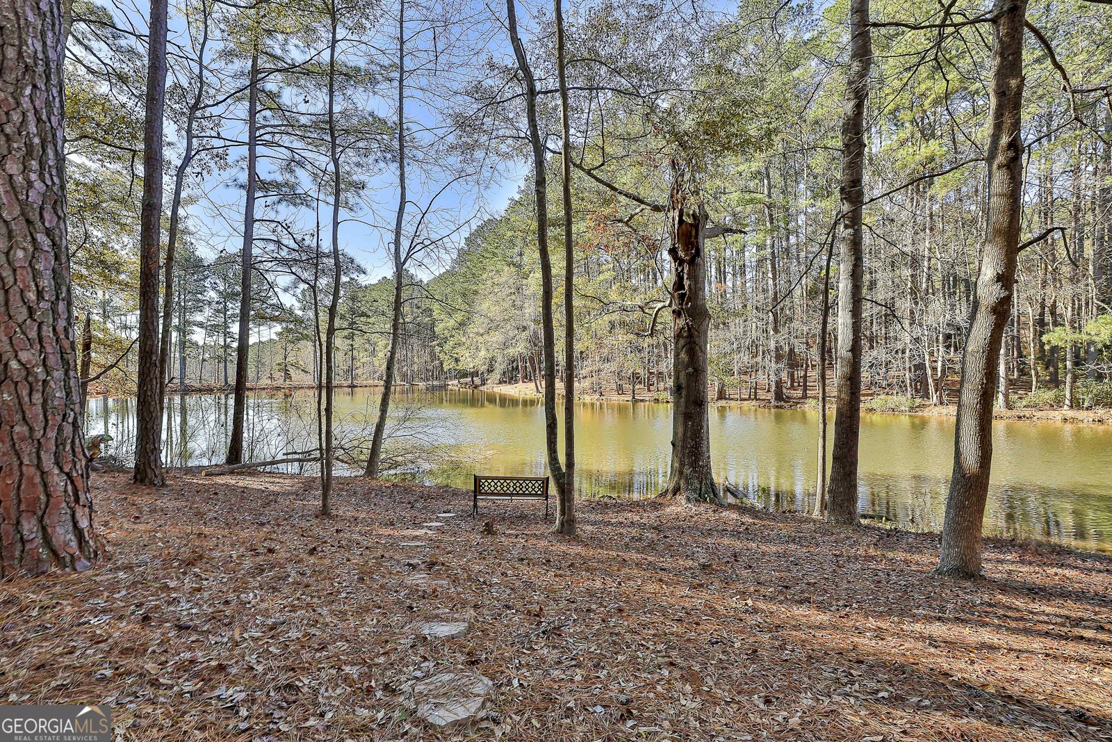 190 Willow Lake Lane Sharpsburg - Photo 51