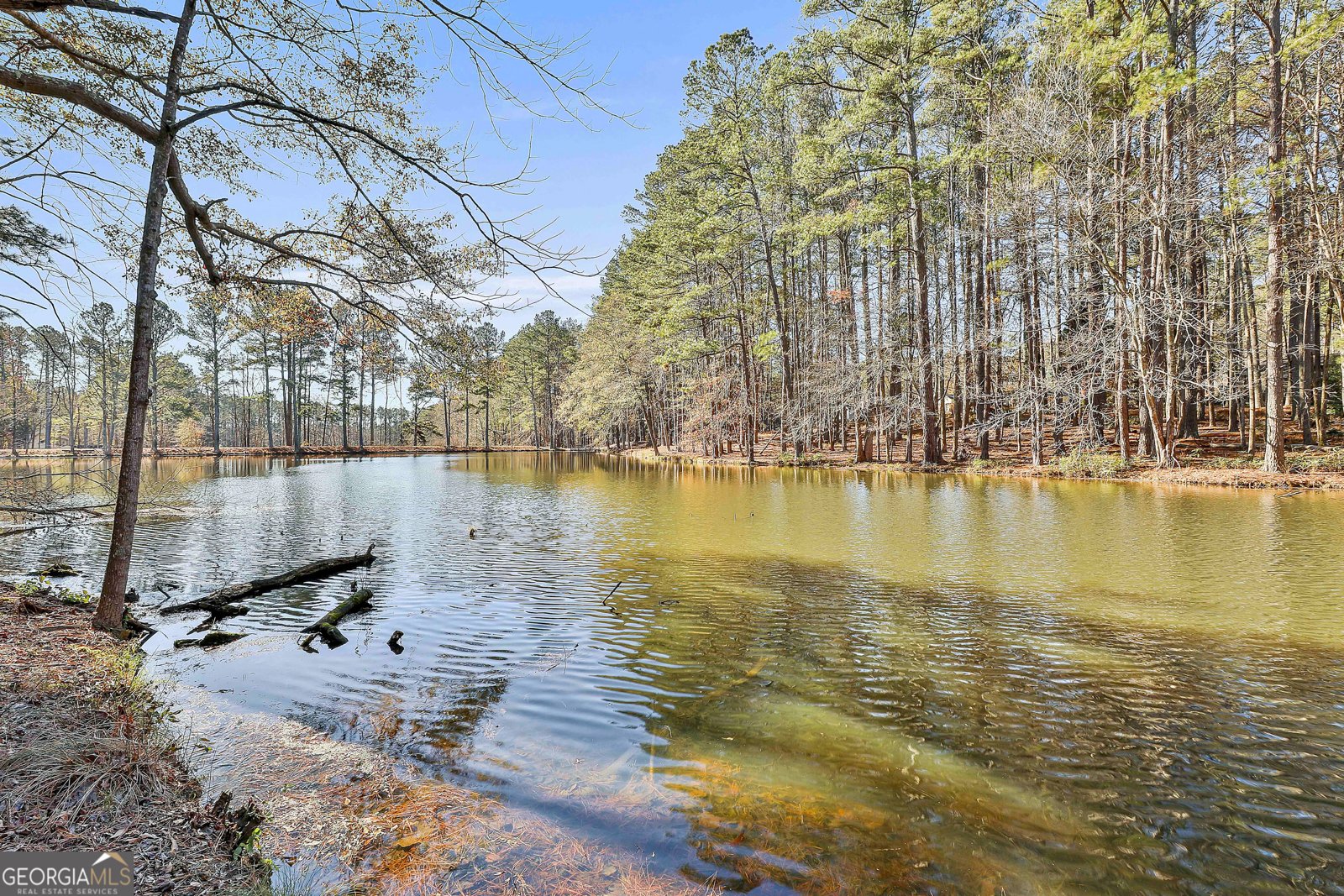 190 Willow Lake Lane Sharpsburg - Photo 52