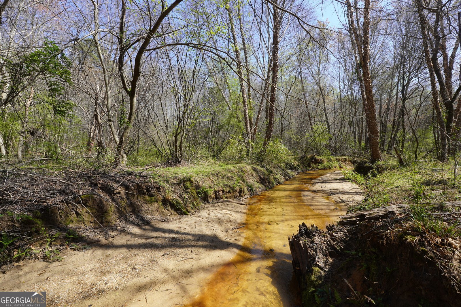 795 Silver Dollar Road Milner - Photo 58
