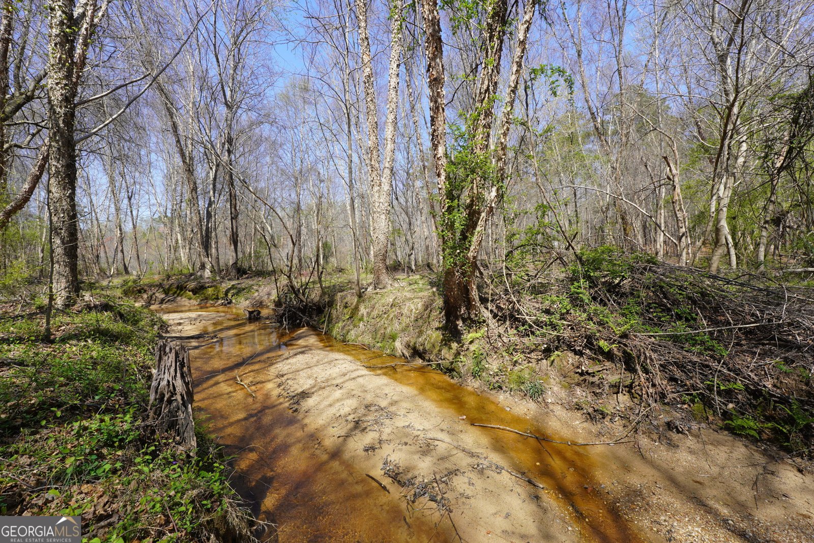 795 Silver Dollar Road Milner - Photo 59