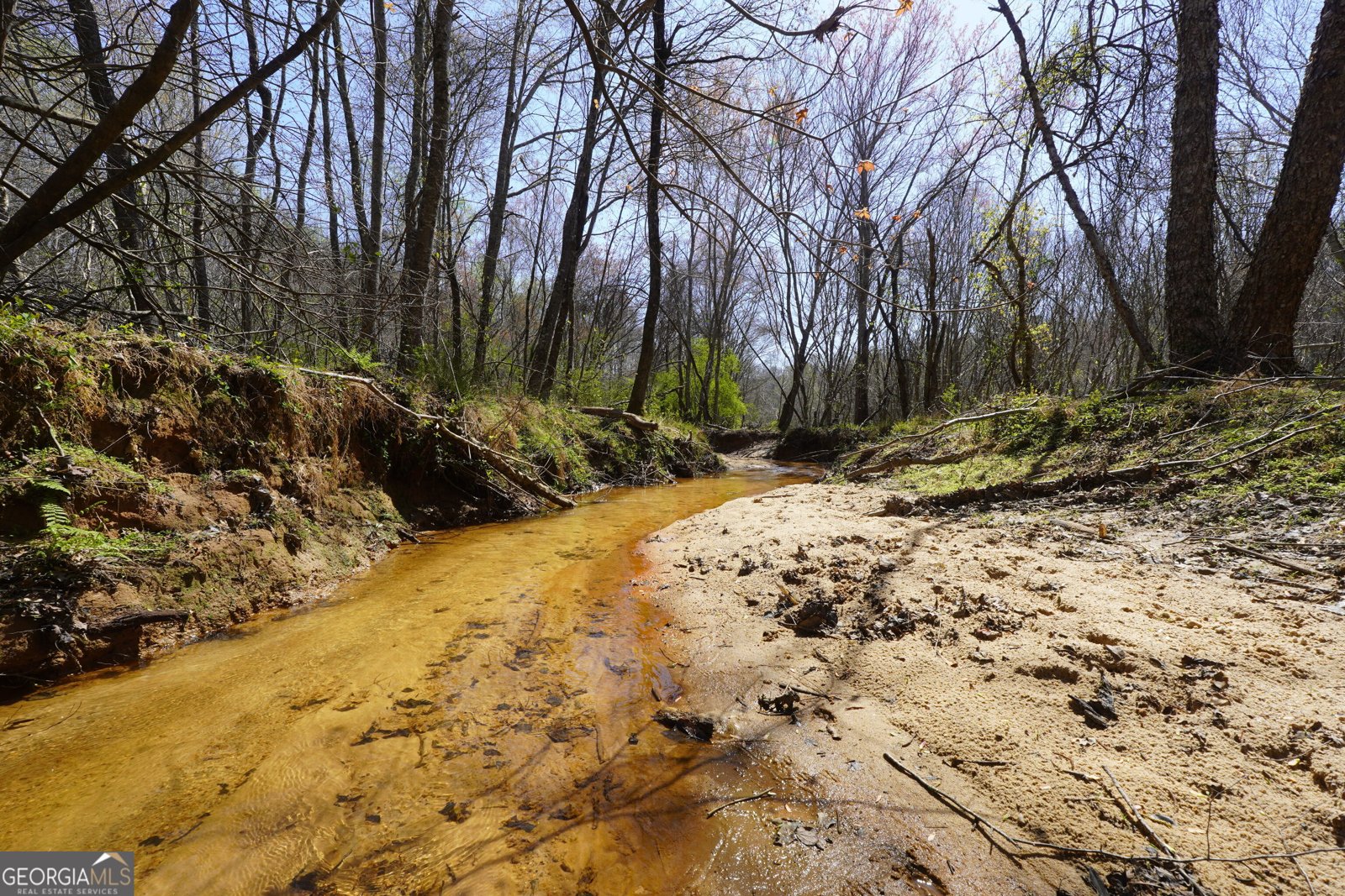 795 Silver Dollar Road Milner - Photo 60