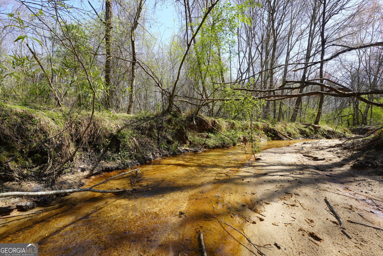 795 Silver Dollar Road Milner - Photo 61