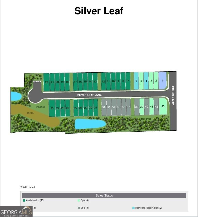 26 Silver Leaf Lane Dawsonville - Photo 32