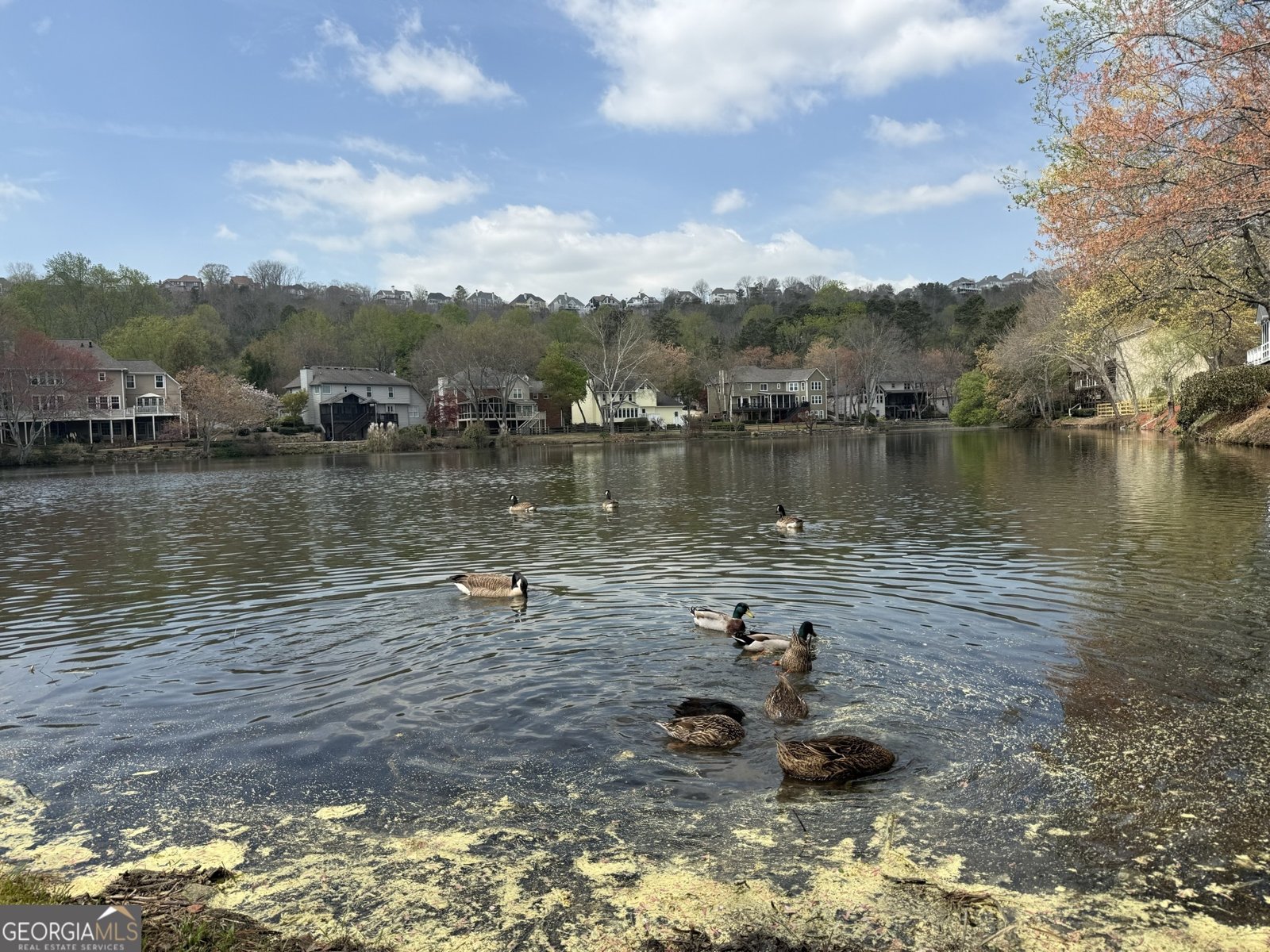 4229 Mountain Road Marietta - Photo 45