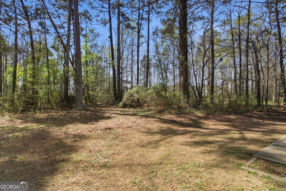 1717 Pinto Trail Jonesboro - Photo 24