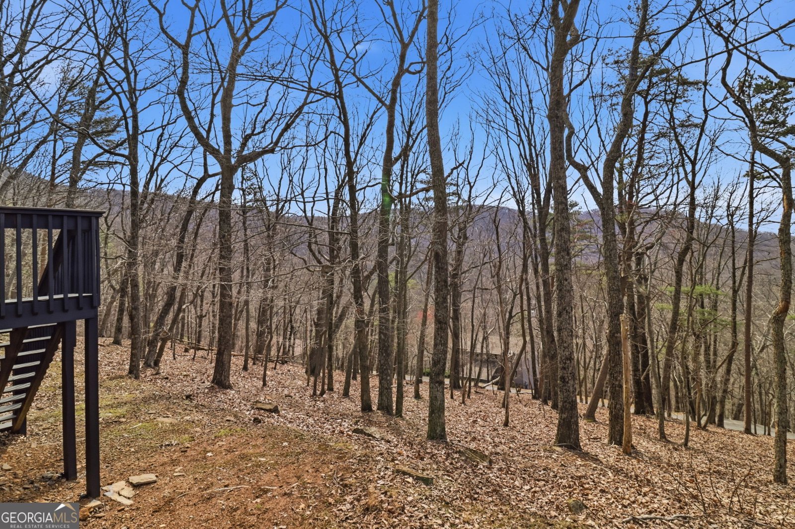 88 Bee Tree Ridge Court Jasper - Photo 49