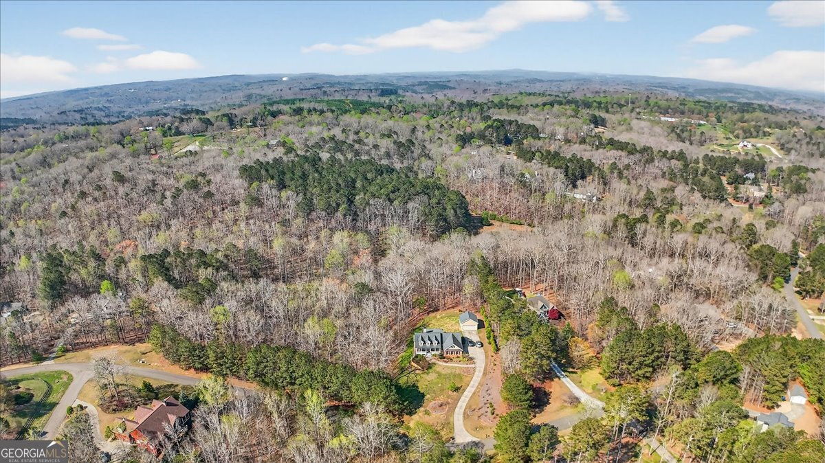 420 Gold Rush Trail Ball Ground - Photo 47