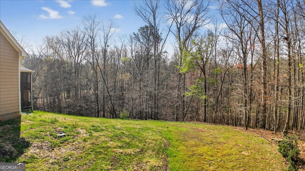 420 Gold Rush Trail Ball Ground - Photo 56