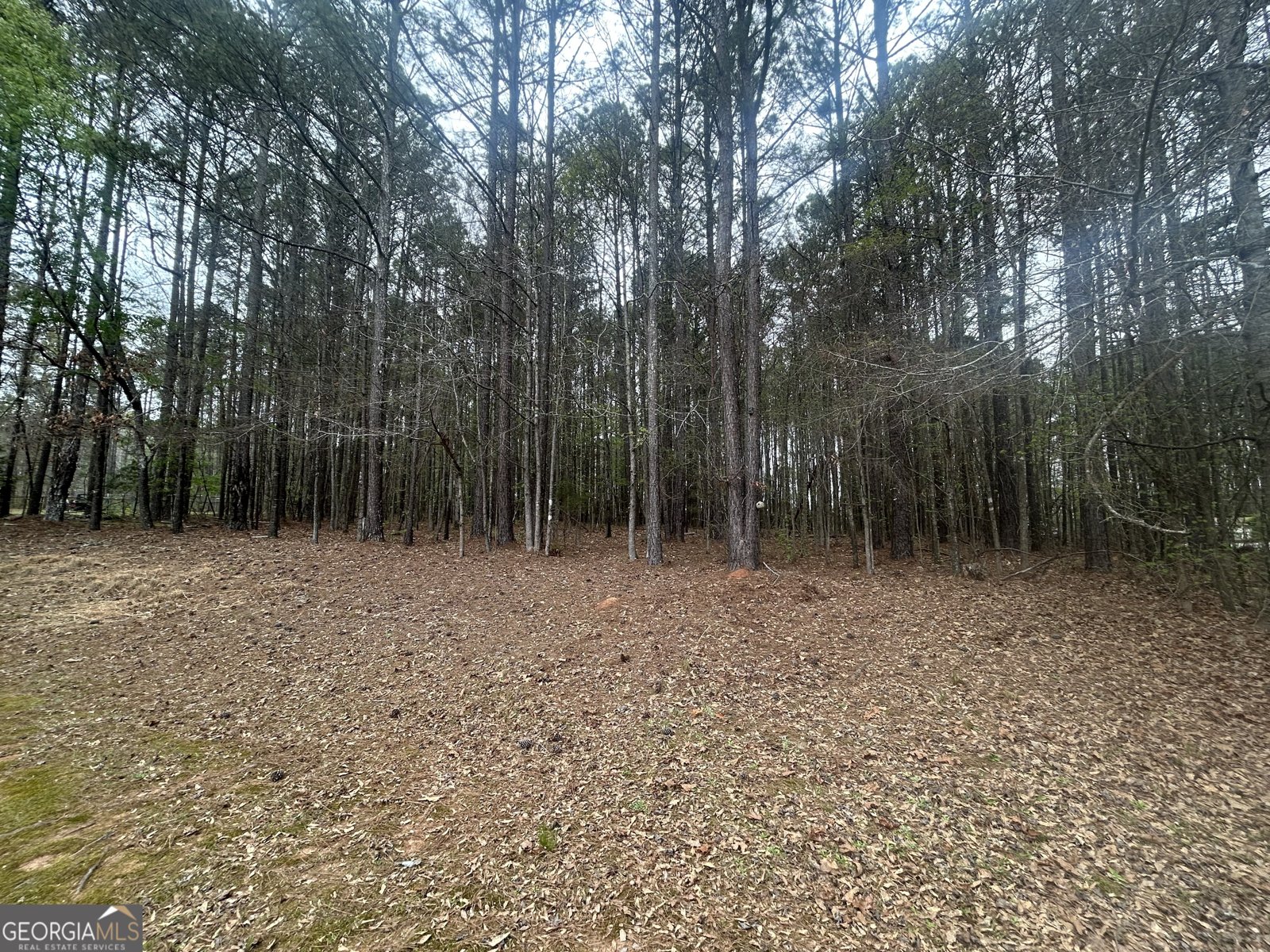 160 Walnut Ridge Way Covington - Photo 7