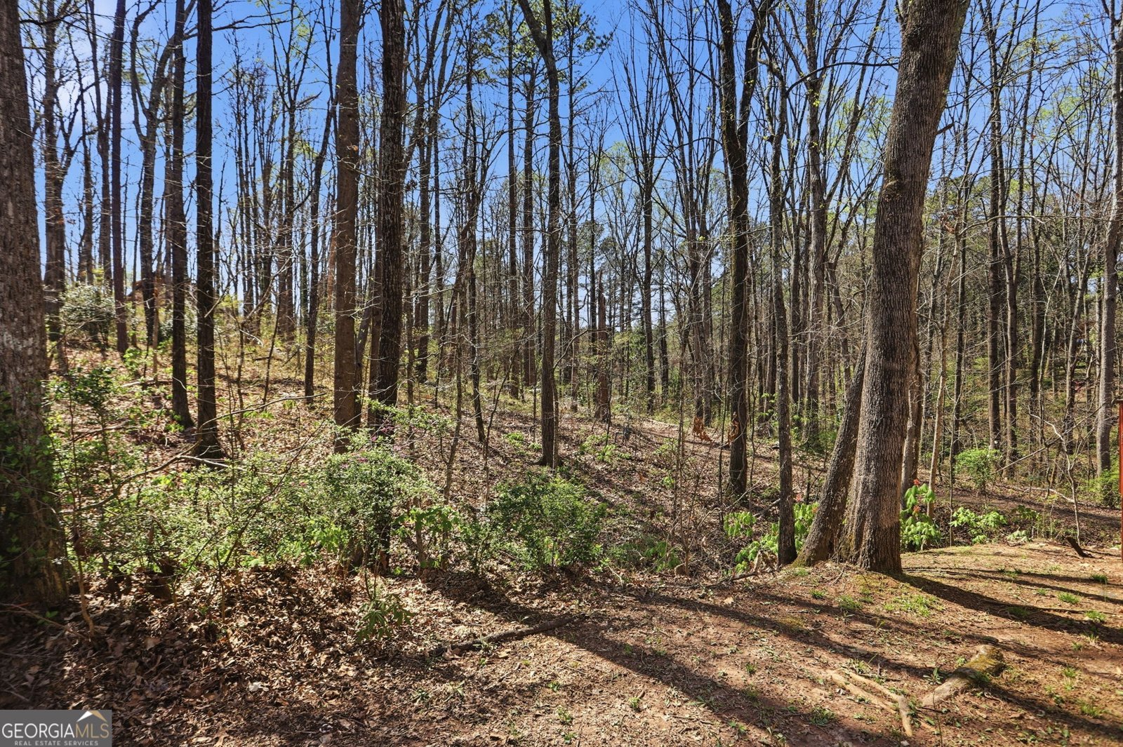 2707 Peggy Sue Lane Morrow - Photo 32