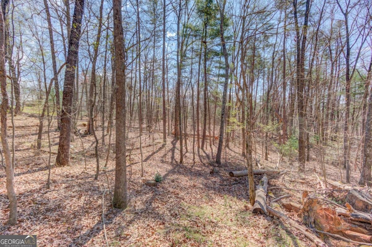 47 Tobacco Pouch Creek Road Dahlonega - Photo 29