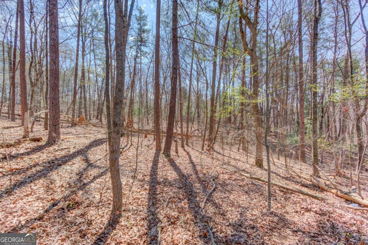 47 Tobacco Pouch Creek Road Dahlonega - Photo 35