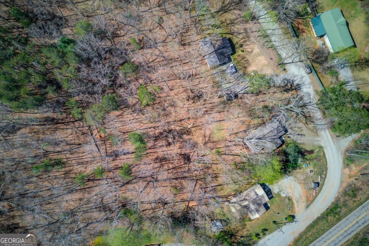 47 Tobacco Pouch Creek Road Dahlonega - Photo 36