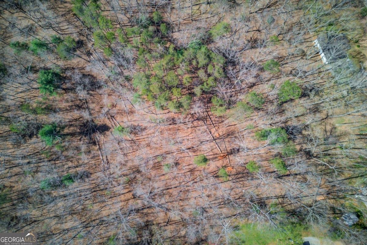 47 Tobacco Pouch Creek Road Dahlonega - Photo 37