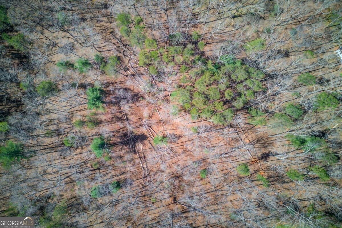 47 Tobacco Pouch Creek Road Dahlonega - Photo 38