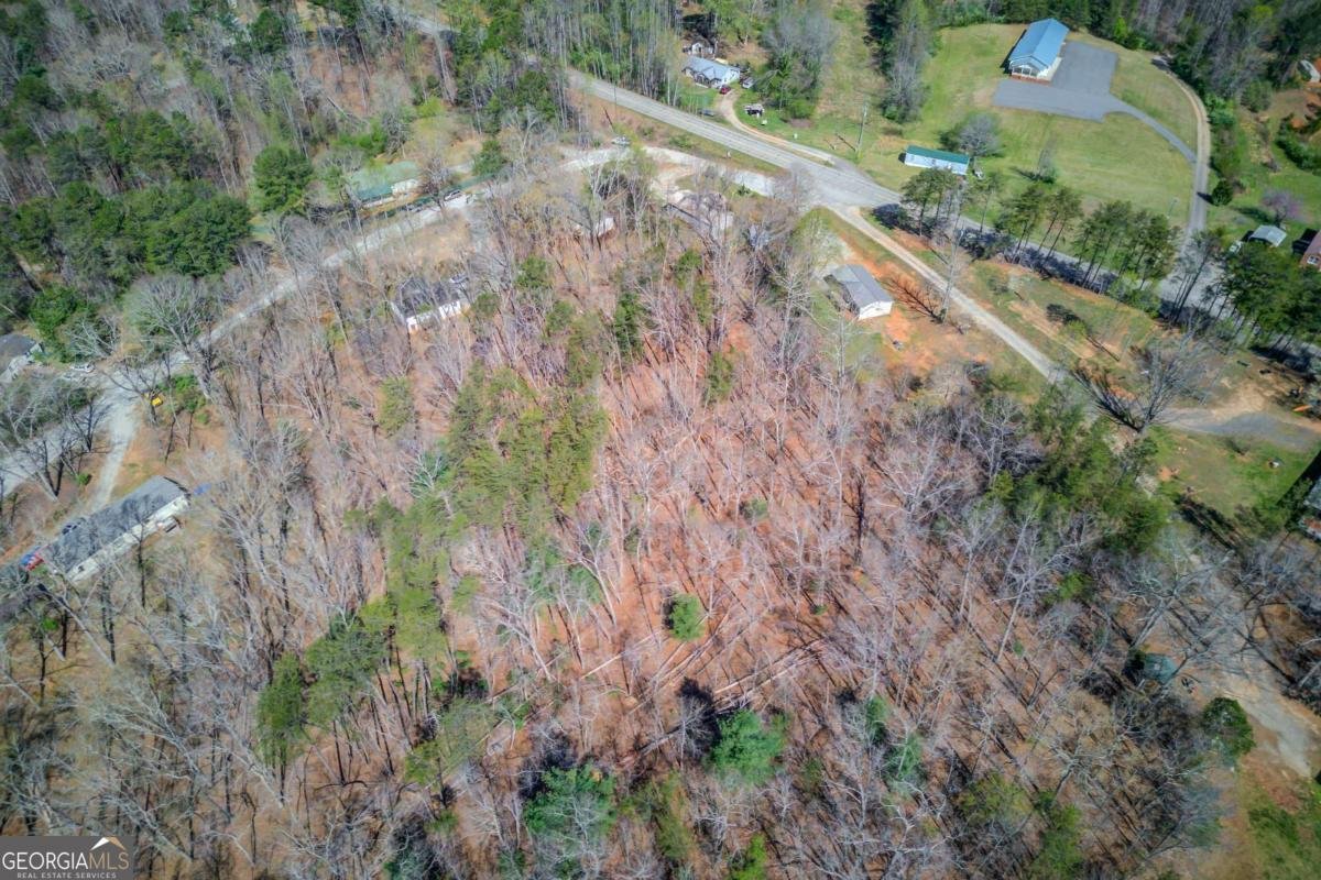 47 Tobacco Pouch Creek Road Dahlonega - Photo 39