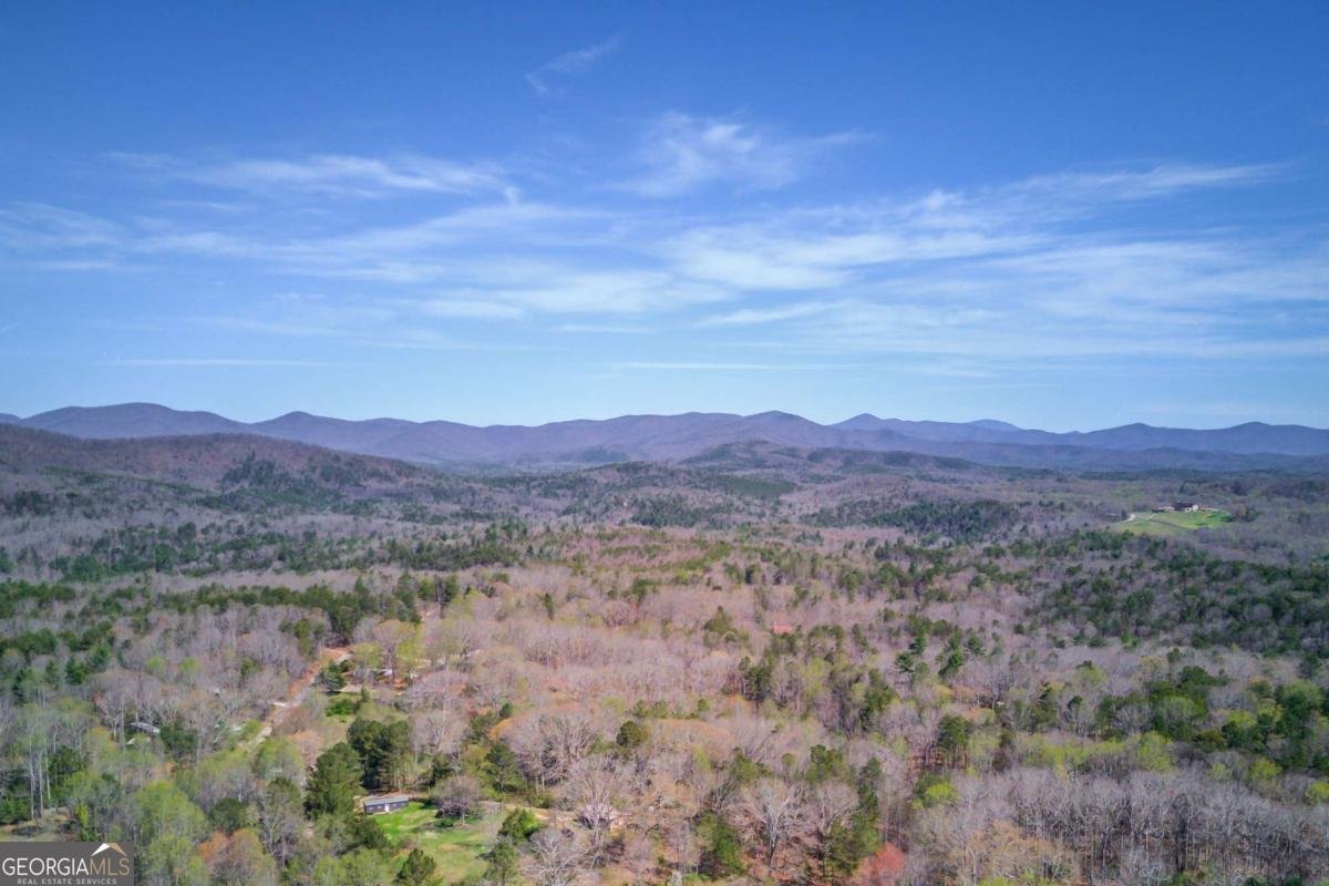 47 Tobacco Pouch Creek Road Dahlonega - Photo 40