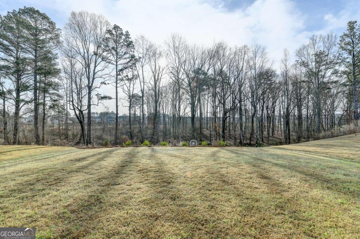 86 Canyon Ferry Way Hoschton - Photo 51