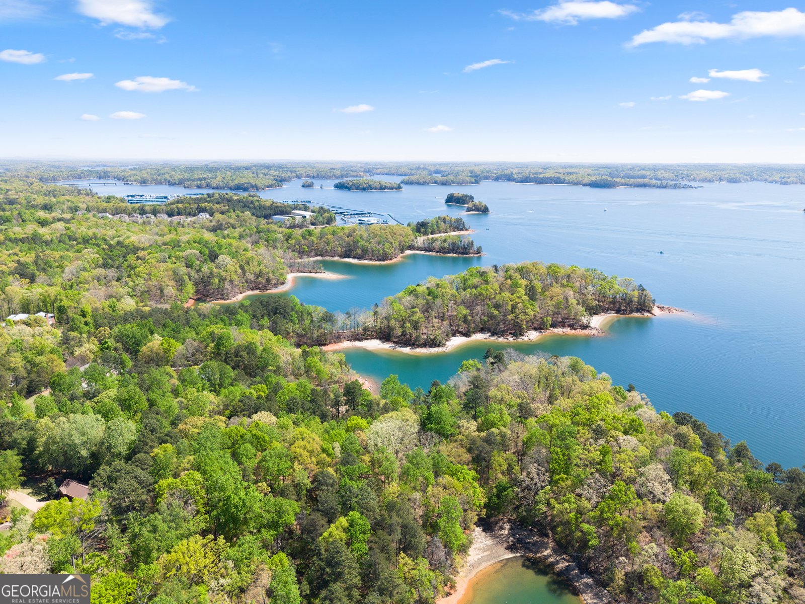 8930 Yellow Pine Court Gainesville - Photo 76